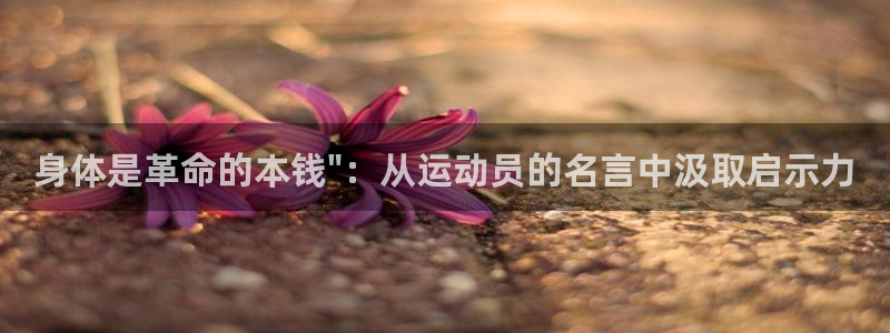 意昂2凯捷平台