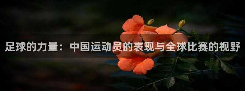 意昂22体育
