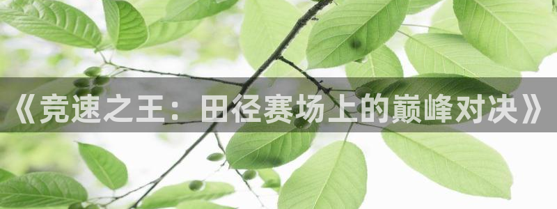 意昂2体育4：《竞速之王：田径赛场上的巅峰对决》