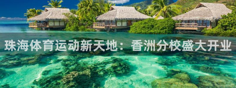 意昂2凯捷平台注册链接：珠海体育运动新天地：香洲分校盛大开业