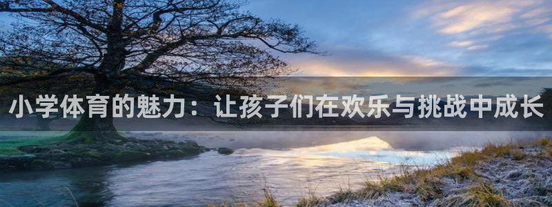 意昂2f平台注册：小学体育的魅力：让孩子们在欢乐与挑战中成长