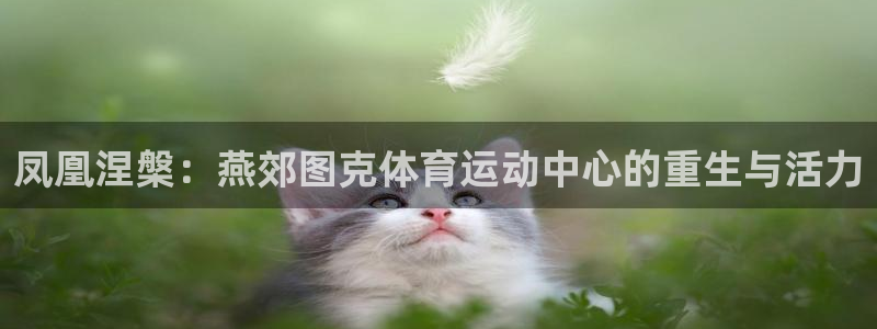 意昂2官网注册：凤凰涅槃：燕郊图克体育运动中心的重生与活力