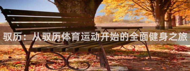 意昂2集团总部：驭历：从驭历体育运动开始的全面健身之旅