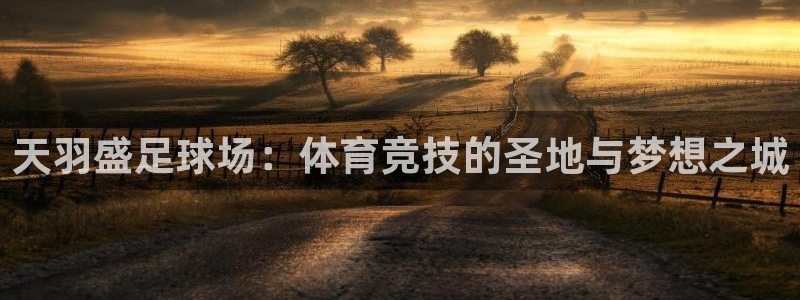 意昂2体育平台开号链接：天羽盛足球场：体育竞技的圣地与梦想之城