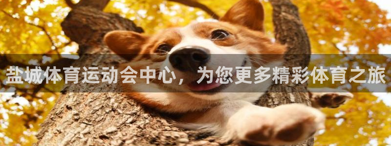 意昂3官网：盐城体育运动会中心，为您更多精彩体育之旅
