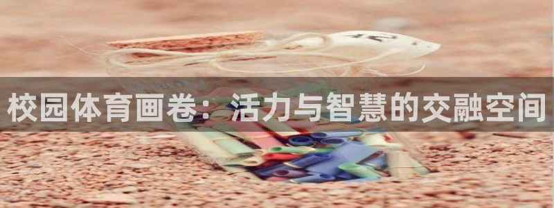 福建意昂2机电股份公司：校园体育画卷：活力与智慧的交融空间