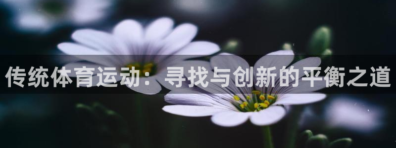 意昂2体育网页版入口：传统体育运动：寻找与创新的平衡之道