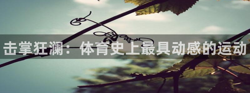 www.意昂体育.com：击掌狂澜：体育史上最具动感的运动