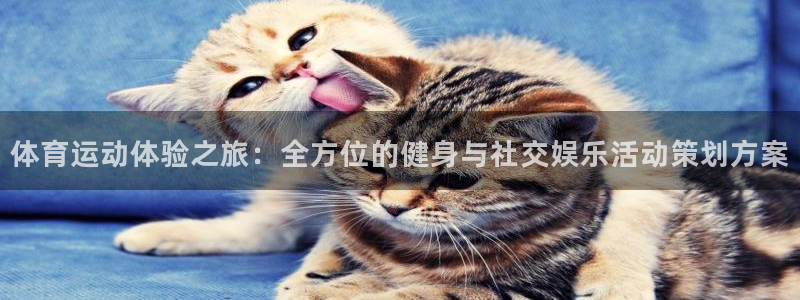 意昂2f平台注册：体育运动体验之旅：全方位的健身与社交娱乐活动策划方案