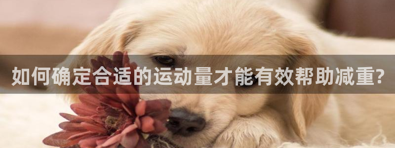 意昂体育4：如何确定合适的运动量才能有效帮助减重?