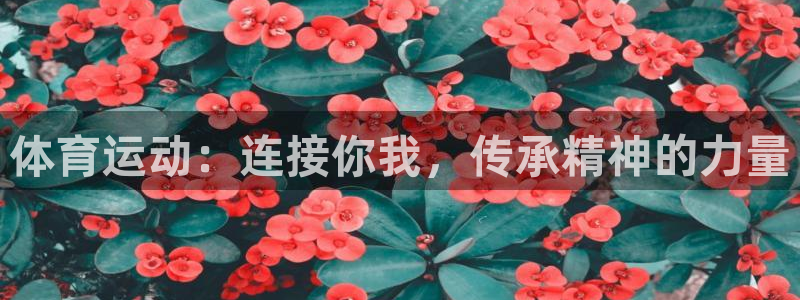 意昂凯捷注册：体育运动：连接你我，传承精神的力量