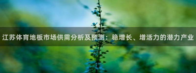 意昂2股份：江苏体育地板市场供需分析及预测：稳增长、增活力的潜力产业