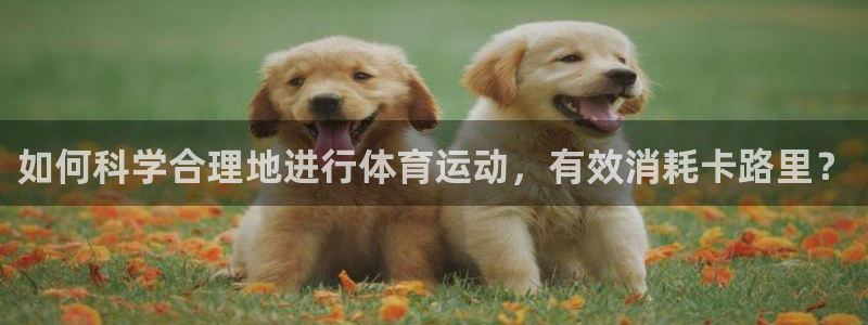 意昂2股份：如何科学合理地进行体育运动，有效消耗卡路里？