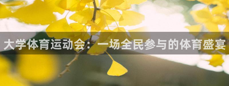 意昂24：大学体育运动会：一场全民参与的体育盛宴