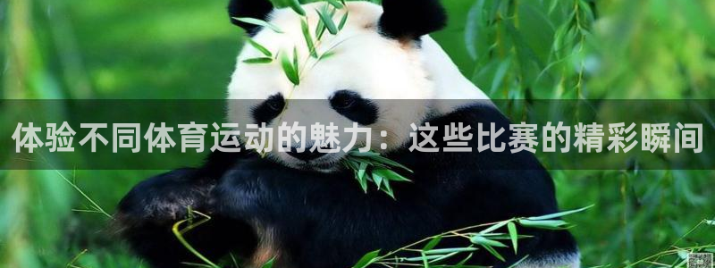 意昂是什么品牌