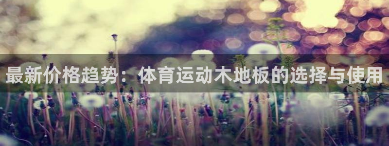 意昂2包怎么样